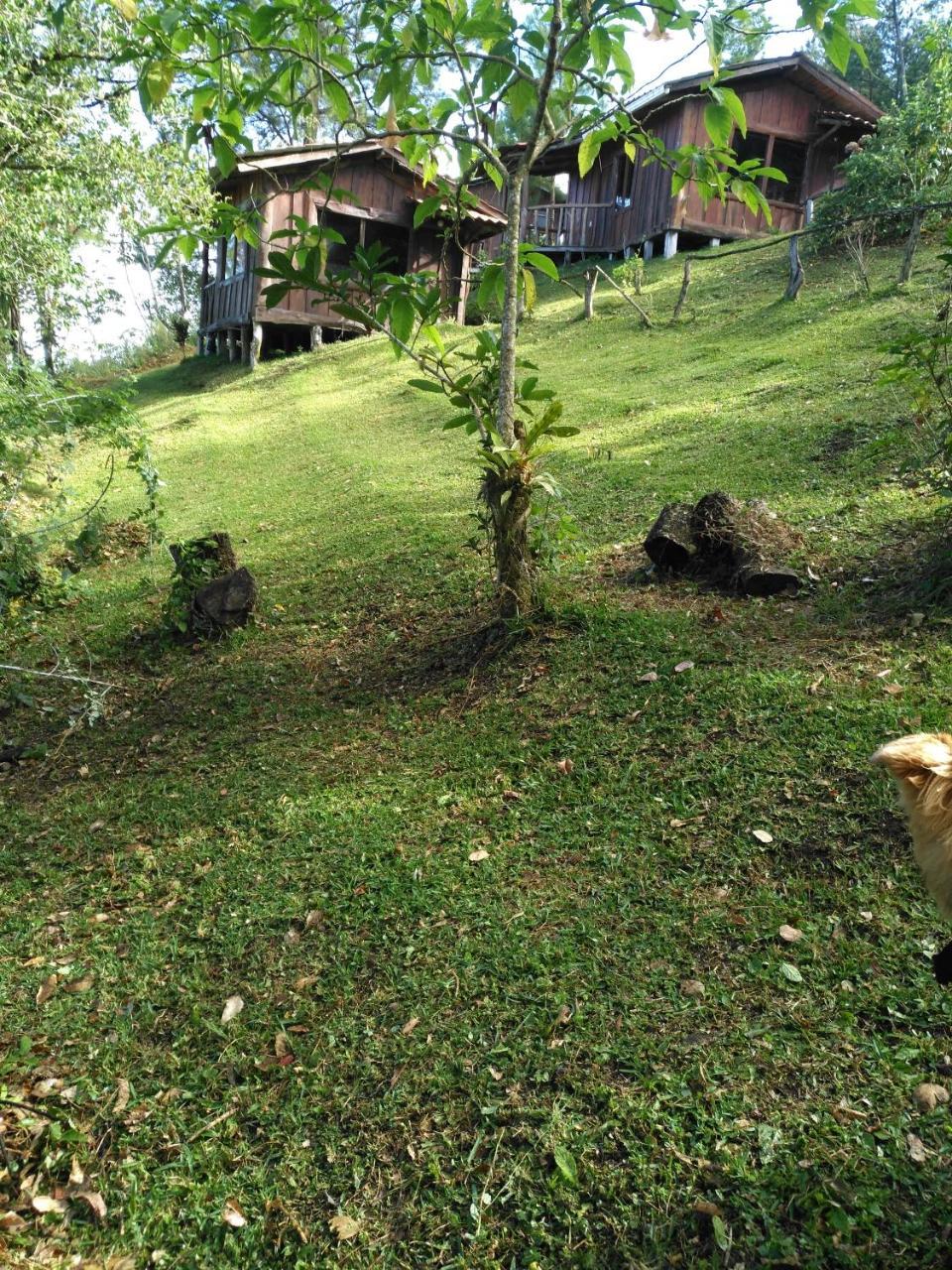 Cabanas Don Camilo Albergue De Montana Cabecera de Canas Eksteriør billede