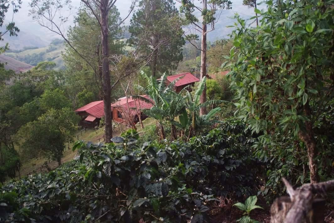 Cabanas Don Camilo Albergue De Montana Cabecera de Canas Eksteriør billede