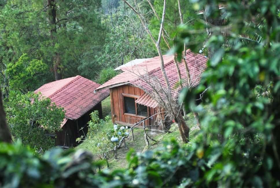 Cabanas Don Camilo Albergue De Montana Cabecera de Canas Eksteriør billede