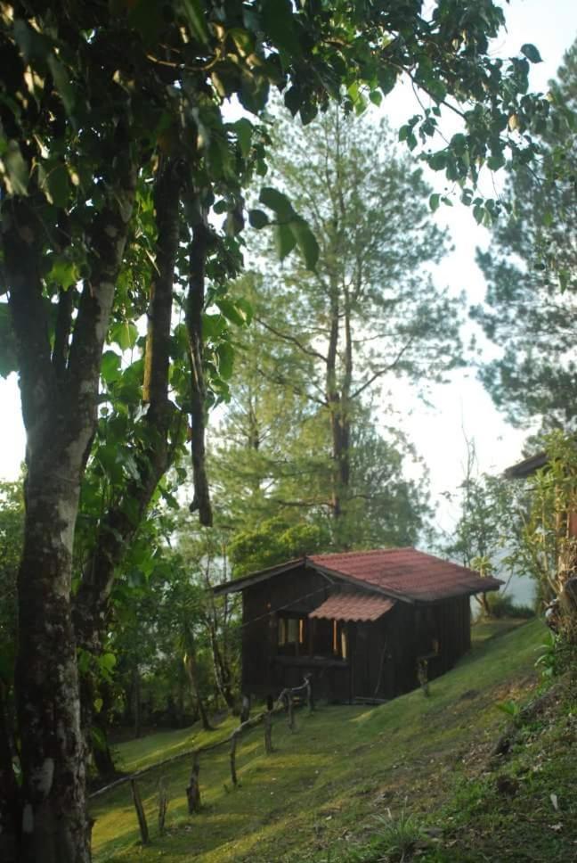 Cabanas Don Camilo Albergue De Montana Cabecera de Canas Eksteriør billede