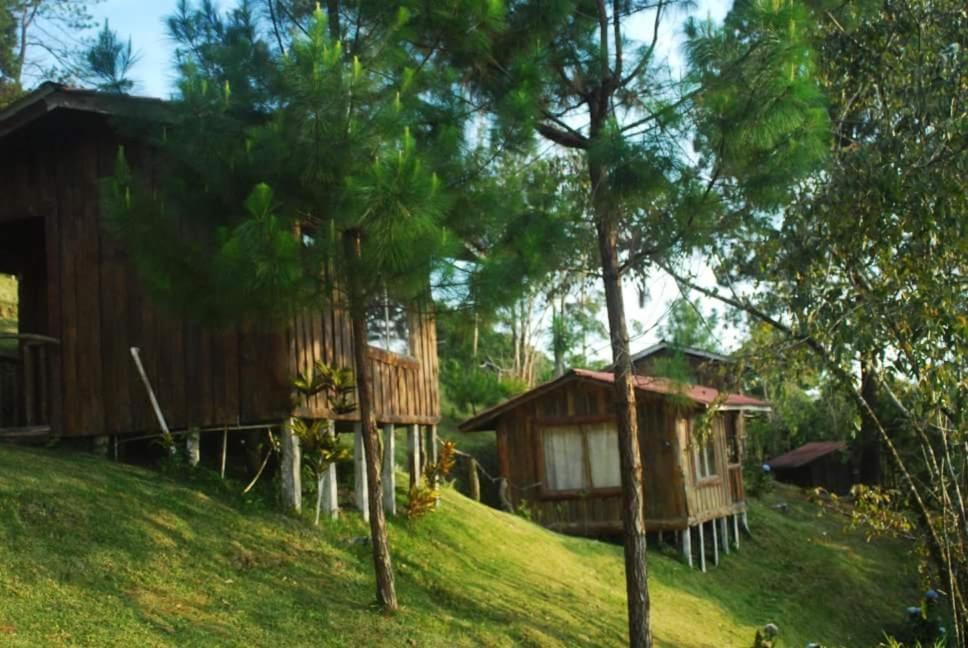 Cabanas Don Camilo Albergue De Montana Cabecera de Canas Eksteriør billede